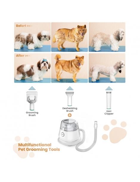 INSE P20 Tagliacapelli 5 in 1 per cani aspiratore tagliacapelli per animali domestici Qualità