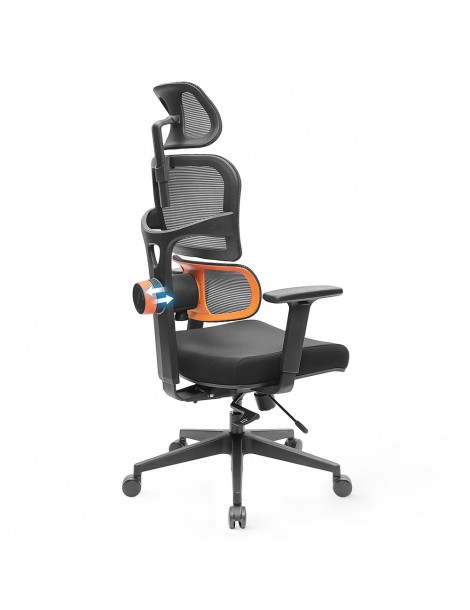 NEWTRAL Sedia Standard NT001 Sedia ergonomica adattiva con supporto per la parte bassa della schiena Saldi Di Fabbrica