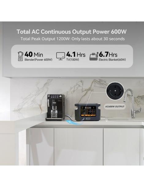 Flashfish QE01D Stazione di alimentazione portatile batteria da 22 4V/20Ah 448Wh uscita CA da 600W Qualità Garantita