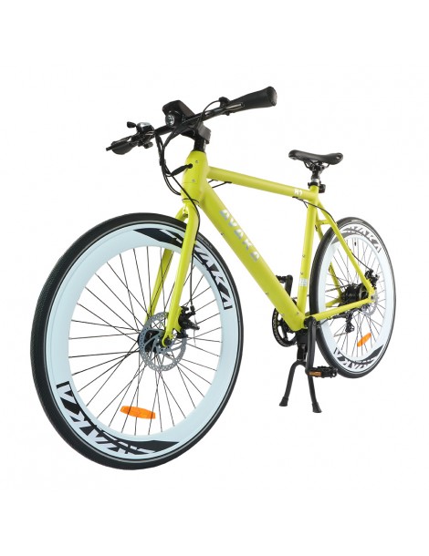 AVAKA R1 Bicicletta elettrica 250W Motore Batteria 9Ah- Verde Offerte