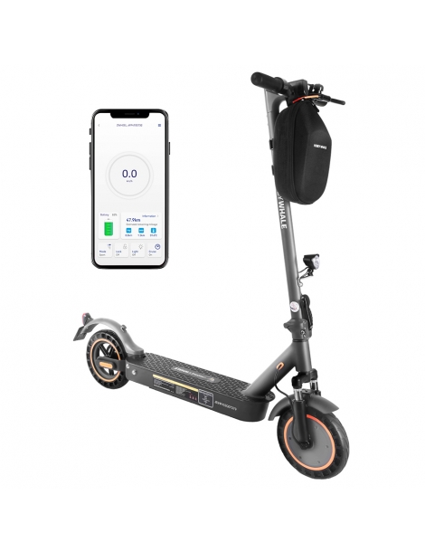 HONEYWHALE E9 MAX con omologazione stradale (ABE) scooter elettrico pieghevole con motore da 500W batteria da 36V 10Ah Pezzi Unici