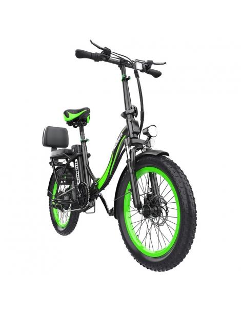 Hidoes C1 Bici Elettrica Pieghevole con Sella Posteriore Motore 750W Batteria 48V 13Ah Pneumatico Grasso 20*3 pollici Qualità Garantita