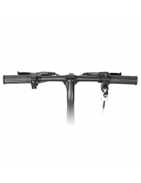 LAIFOOK Dolphin Bici Elettrica Pieghevole Motore 250W Batteria 36V 7.8AH Pneumatico 14 pollici - Nero Fino Al -60%