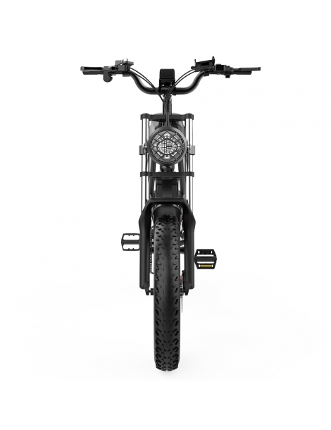 Ridstar Q20 Electric Bike 1000W Brushless Motor 20*4 Inch Fat Tires 48V 20Ah Removable Battery 30mph Max Speed Qualità Garantita