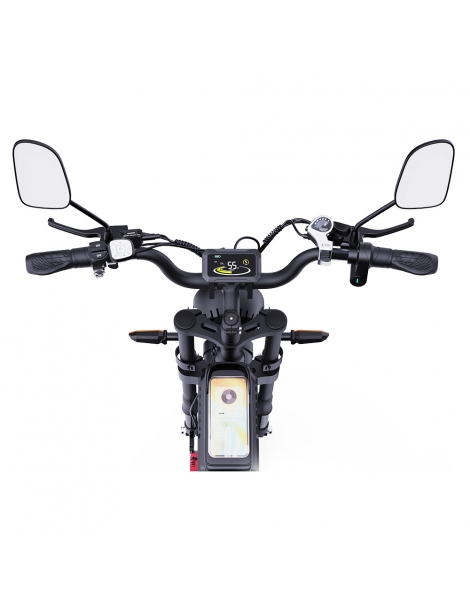 Ridstar Q20 Pro Off-road bicicletta elettrica doppia 1000W motore 52V 20AH doppia batteria Promozione Limitata