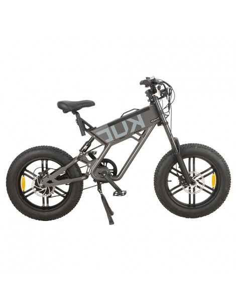 KUGOO T01 20*4.0 Pollici Pneumatici Bicicletta elettrica Motore 48V 500W Batteria 13Ah Velocità Massima 38km/h - Grigio
