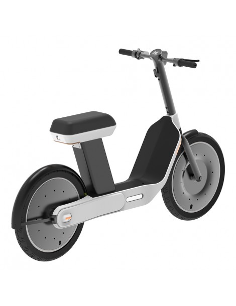 GLOOV Adder Scooter Elettrico Pieghevole con Pneumatici da 20 Pollici - Motore da 1000W e Batteria da 20Ah Offerta San Valentino