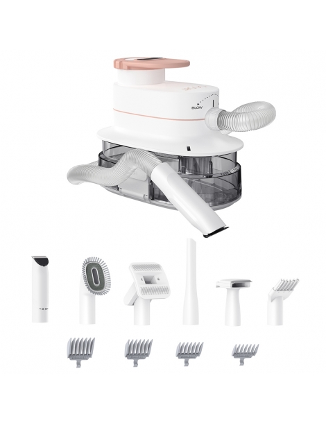 JIGOO P300 Kit aspirapolvere per animali domestici 11 in 1 3 modalità di velocità contenitore per la polvere da 4 litri Offerte giornaliere