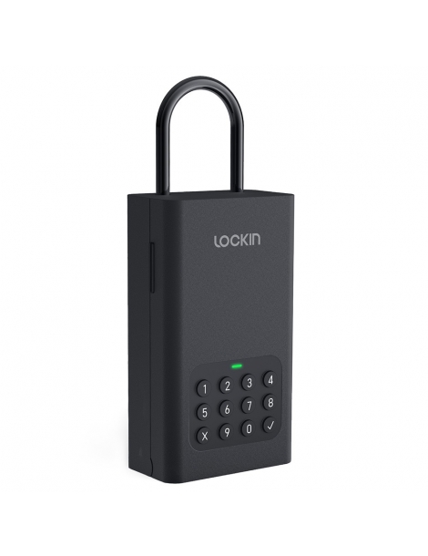 Lockin Smart Lockbox L1 Esporta salva