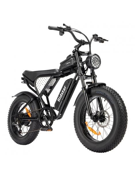 Ridstar Q20 Mini Electric Bike motore 1000W batteria 48V 15AH pneumatici grassi 20*4.0 pollici velocità massima 40km/h