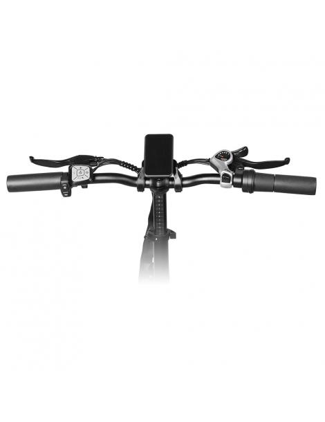 LAIFOOK Cityfun S Bicicletta elettrica pieghevole motore 250W batteria da 48V 10.4AH pneumatici grassi da 20 x 4.0" - Nero Promozione Limitata