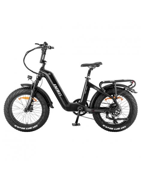FAFREES F20 Master E-bike 20*4.0 pollici pneumatico 500W trazione posteriore 25km/h velocità massima-Nero Prezzo Ridotto