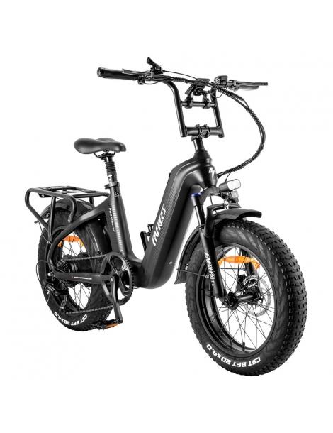 FAFREES F20 Master E-bike 20*4.0 pollici pneumatico 500W trazione posteriore 25km/h velocità massima-Nero Prezzo Ridotto