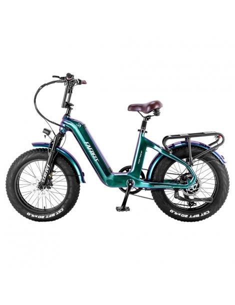 FAFREES F20 Master E-bike 20*4.0 pollici pneumatico 500W trazione posteriore 25km/h velocità massima-Verde Sottocosto