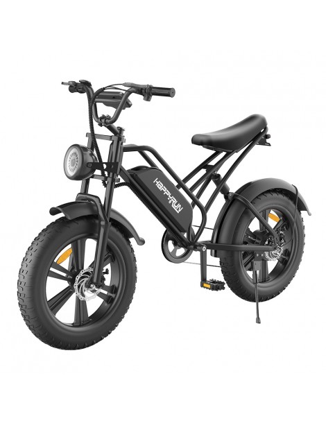 HAPPYRUN HR-G50 Bicicletta elettrica retrò 18Ah Batteria 750W Motore Offerta