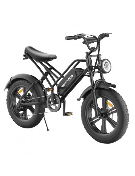 HAPPYRUN HR-G50 Bicicletta elettrica retrò 18Ah Batteria 750W Motore Offerta