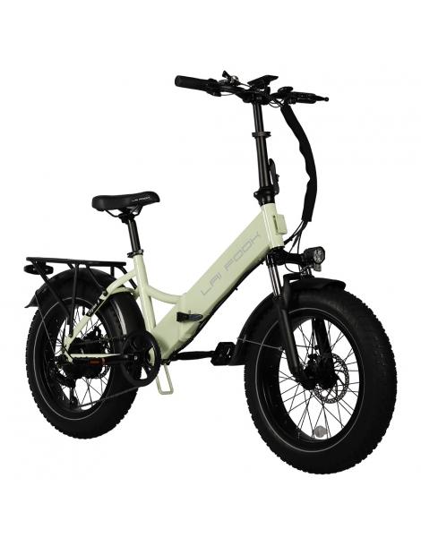 LAIFOOK Cityfun S Bicicletta elettrica pieghevole motore da 250W batteria da 48V 10.4AH pneumatici grassi da 20*4.0" - Verde
