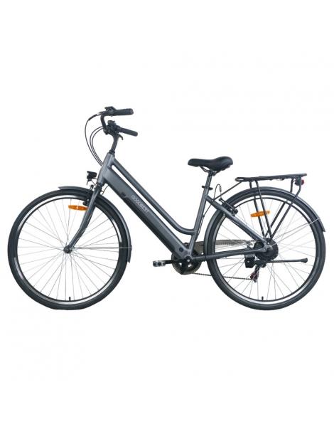 GOGOBEST GM28 Bicicletta elettrica 36V 350W Motore Batteria 10.4Ah-Grigio Ultimi due giorni
